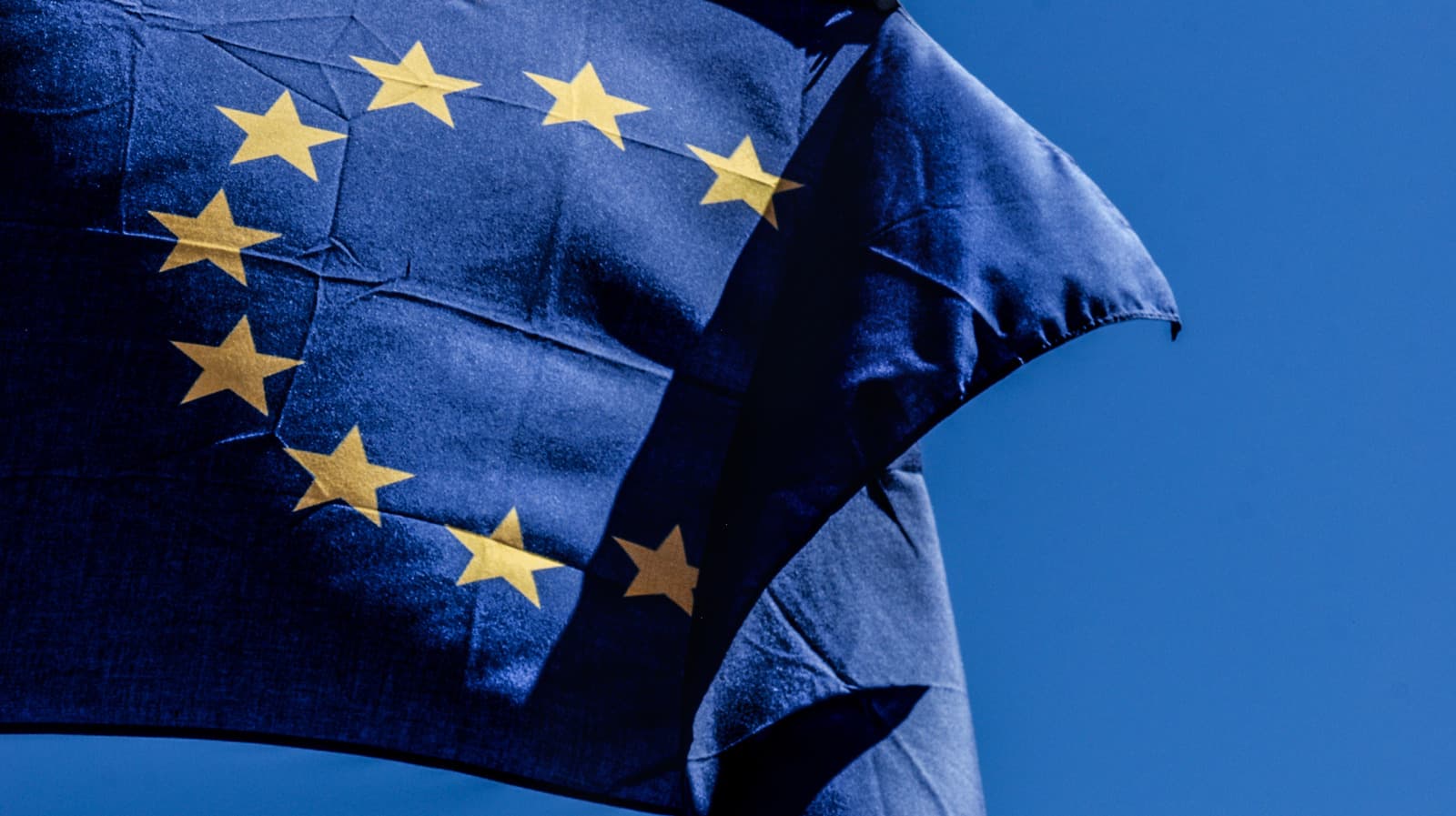 Apple Supports Google Against EU's Android AI Rival Order