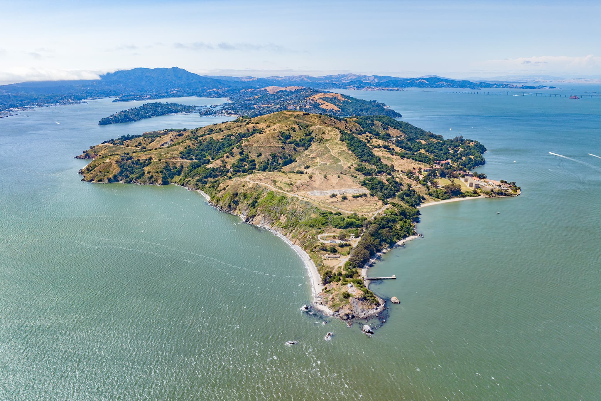 AI-Powered System Detects Gray Whales in San Francisco Bay to Reduce Ship Strikes