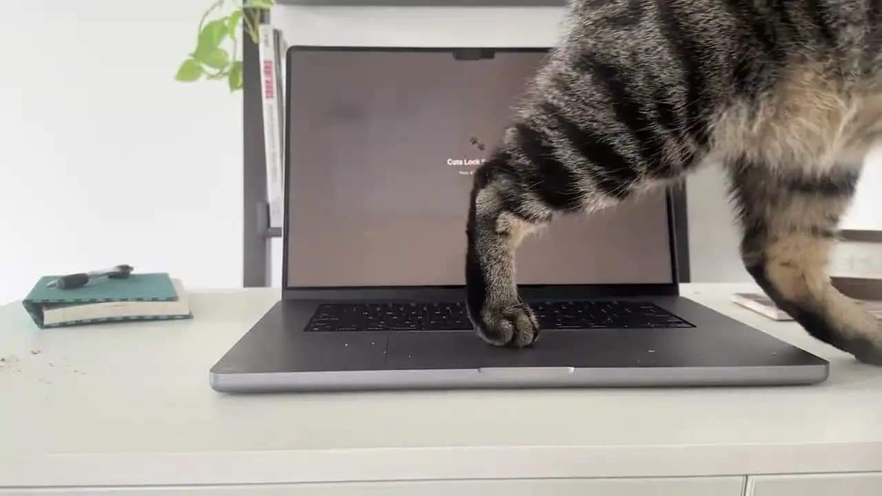 Mac Kullanıcılarının Kedi Kaynaklı Klavye Sorunlarına Çözüm: Yeni Uygulama