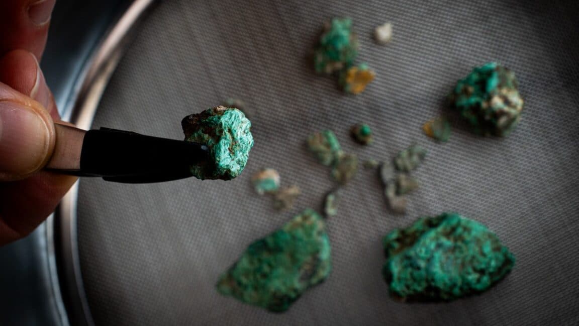 May highlights: prehistoric mining, blue octopus, catnip preference, political polarization
